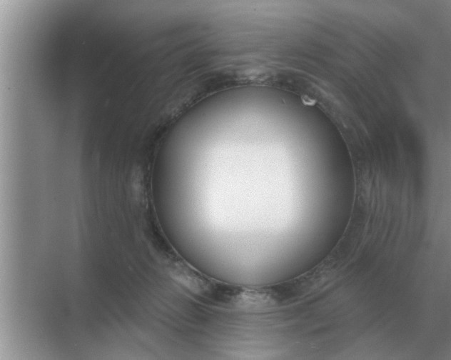 X0000070880270200606302145