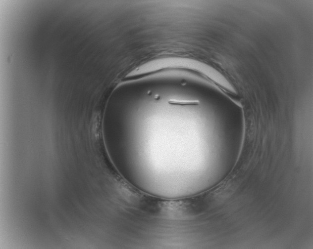 X0000070880273200606302145