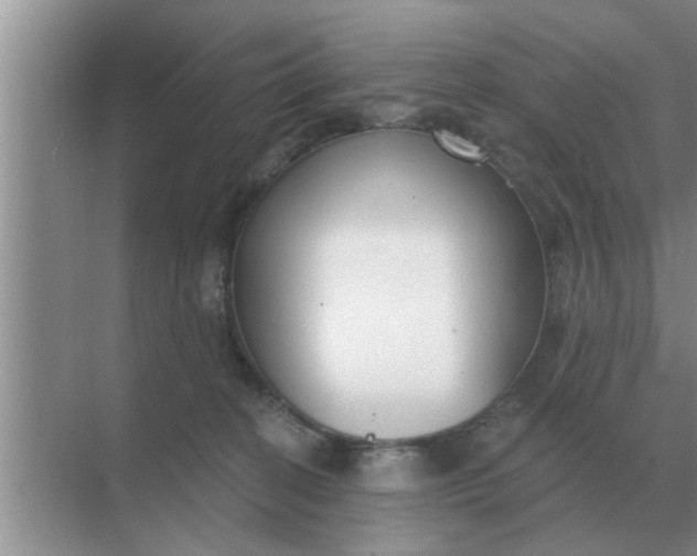 X0000070880274200606302145