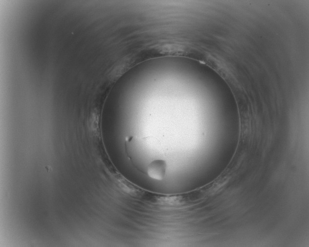 X0000070880281200606302145