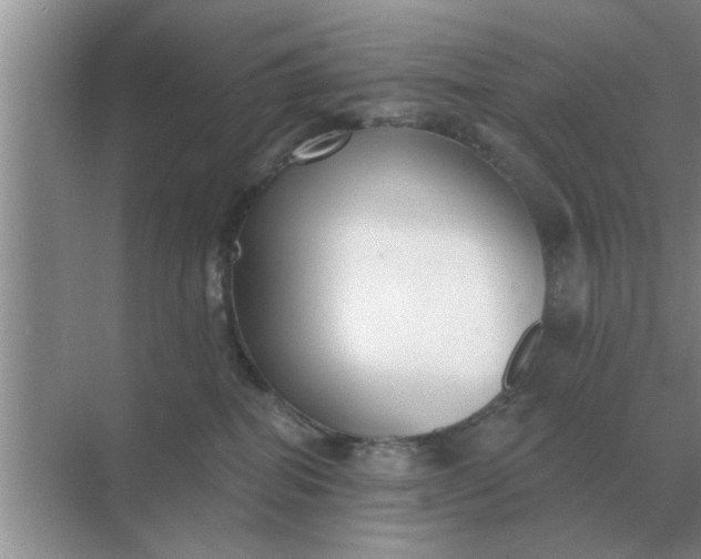 X0000070880282200606302145