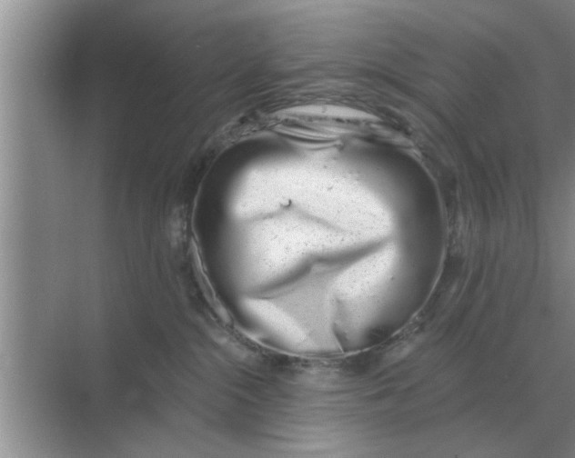 X0000070880284200606302145