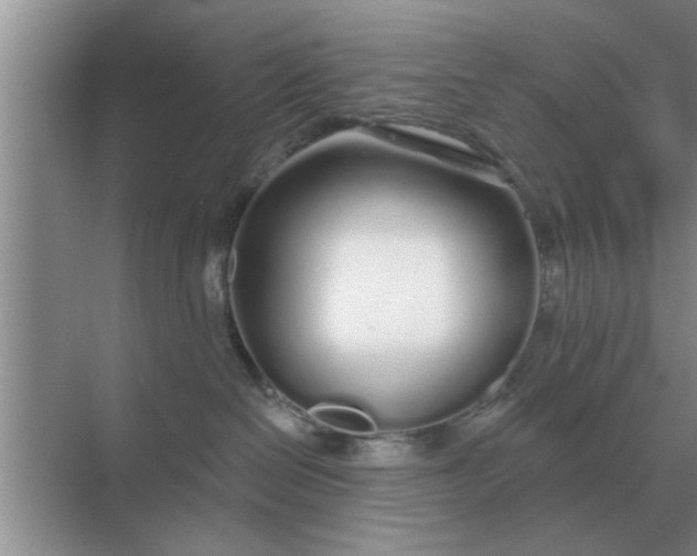 X0000070880286200606302145