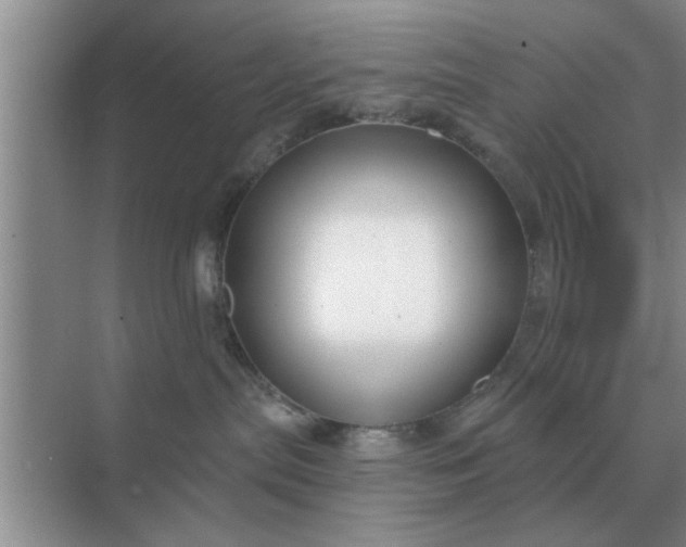 X0000070880287200606302145