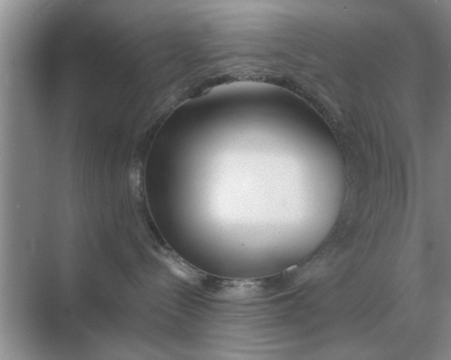 X0000070880288200606302145