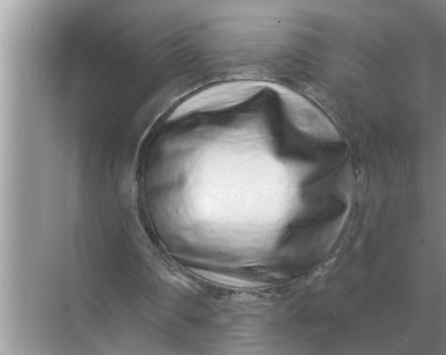 X0000070880290200606302145