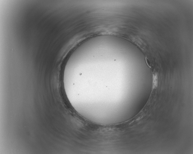 X0000070880291200606302144