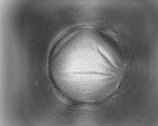 X0000070880293200606302144