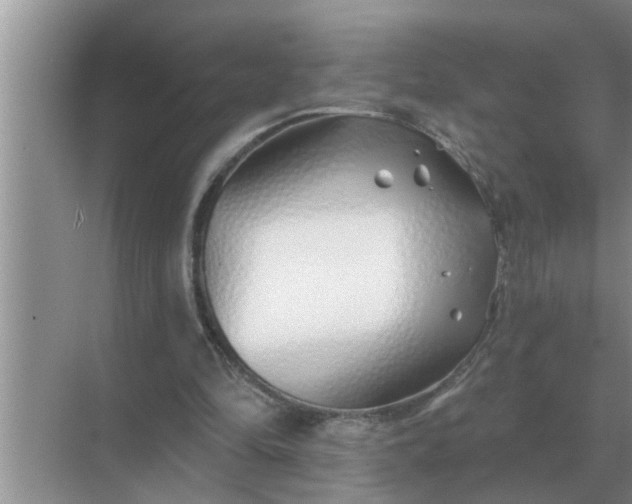 X0000070880294200606302144