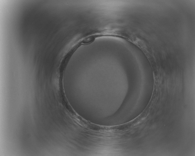 X0000070880295200606302144