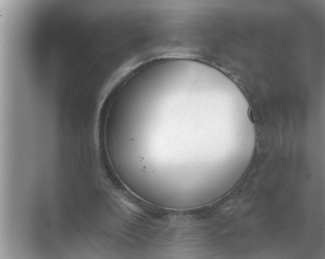 X0000070880296200606302144