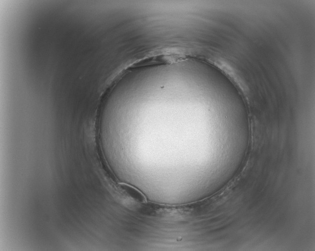 X0000070880297200606302144