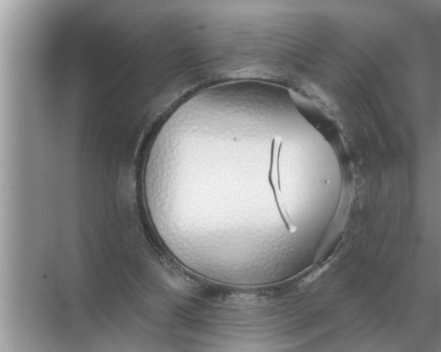 X0000070880298200606302144