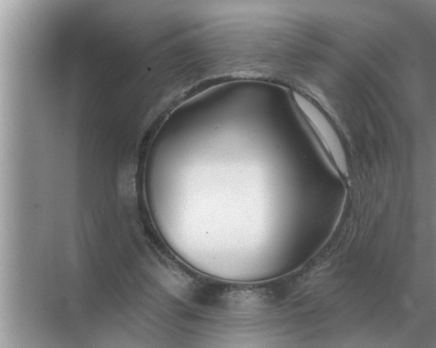 X0000070880299200606302144