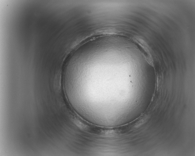 X0000070880301200606302144