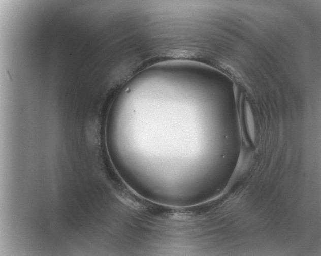 X0000070880303200606302144