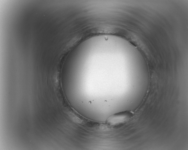 X0000070880305200606302144