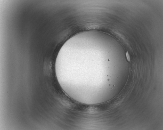 X0000070880308200606302144