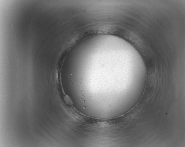 X0000070880310200606302144