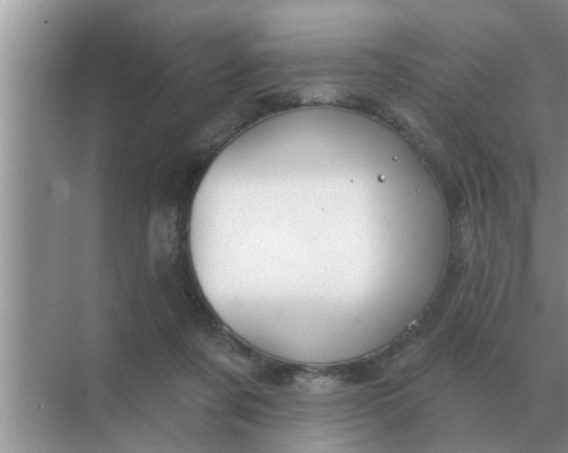 X0000070880311200606302144