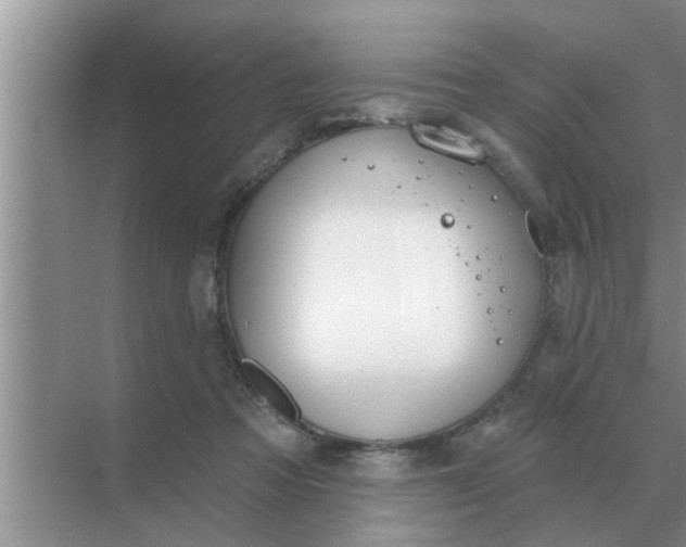 X0000070880313200606302144