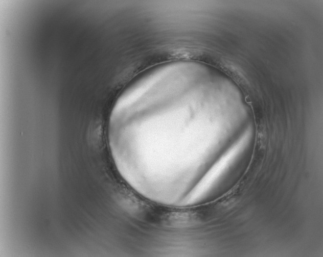 X0000070880314200606302144