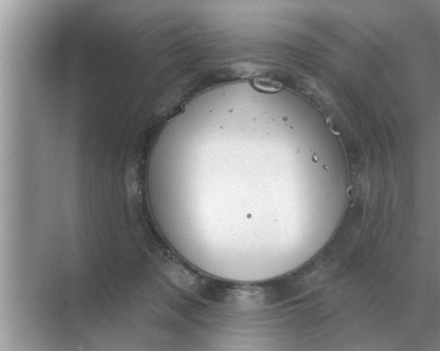 X0000070880317200606302144