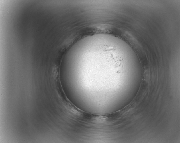 X0000070880318200606302144