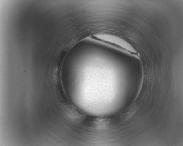 X0000070880319200606302144