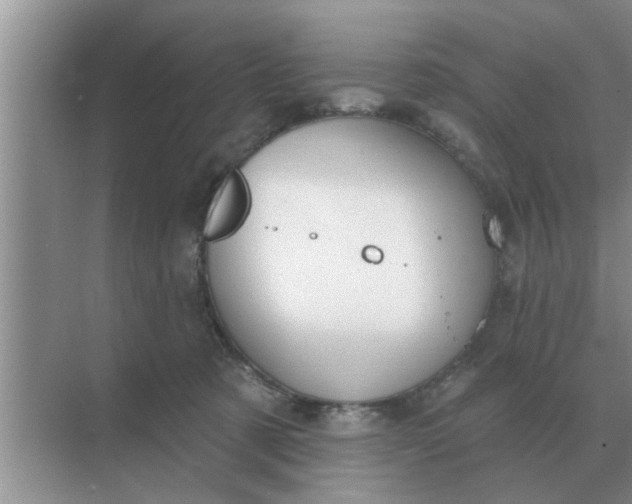 X0000070880321200606302144