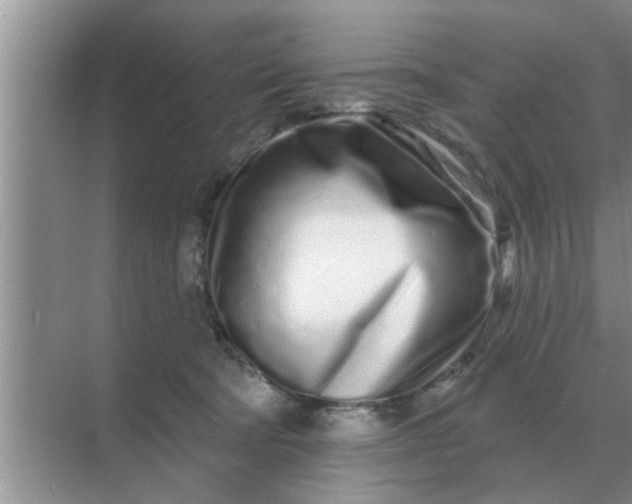 X0000070880322200606302144