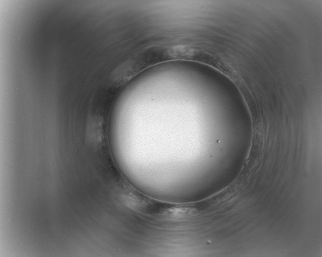 X0000070880323200606302144