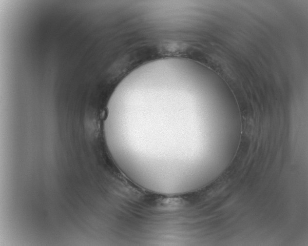 X0000070880324200606302144