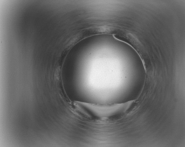 X0000070880325200606302144