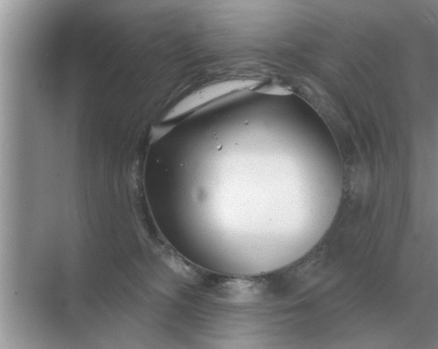 X0000070880326200606302144