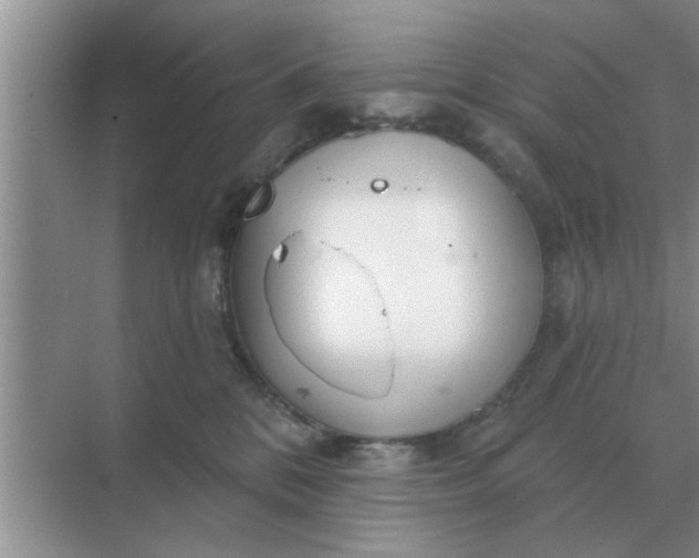 X0000070880328200606302144