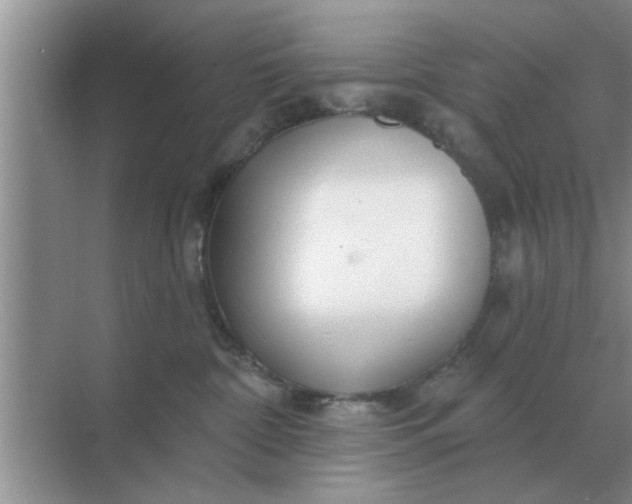 X0000070880332200606302144