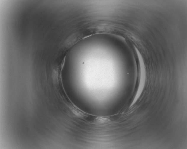 X0000070880333200606302144