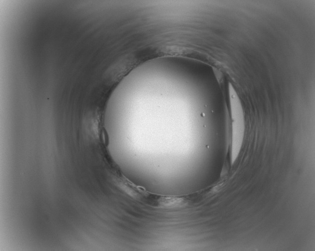 X0000070880334200606302144