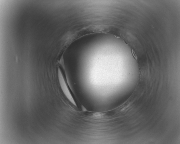 X0000070880335200606302144