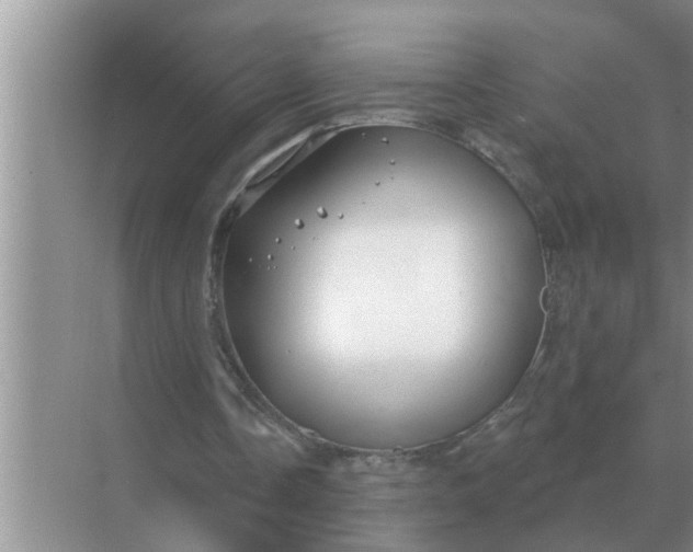 X0000070880338200606302143