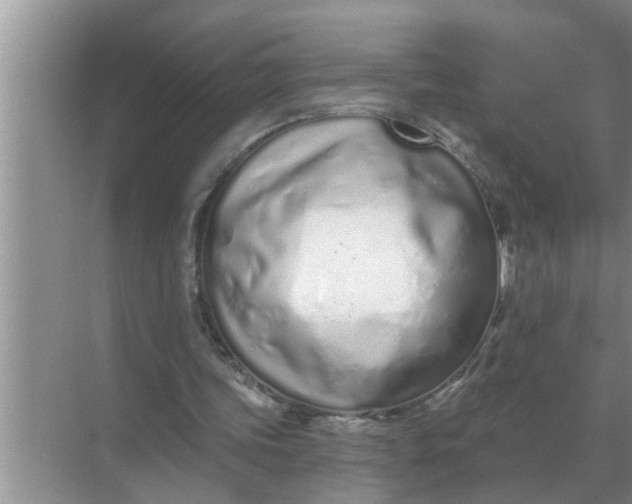 X0000070880339200606302143