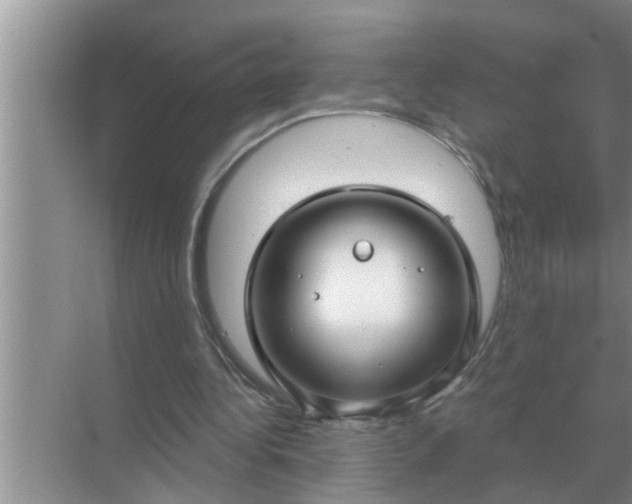 X0000070880340200606302143