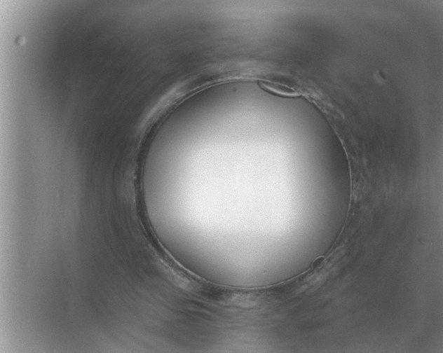 X0000070880341200606302143