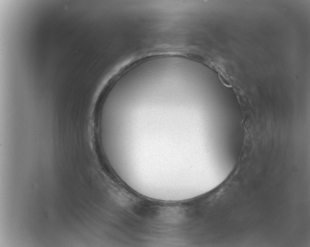 X0000070880342200606302143