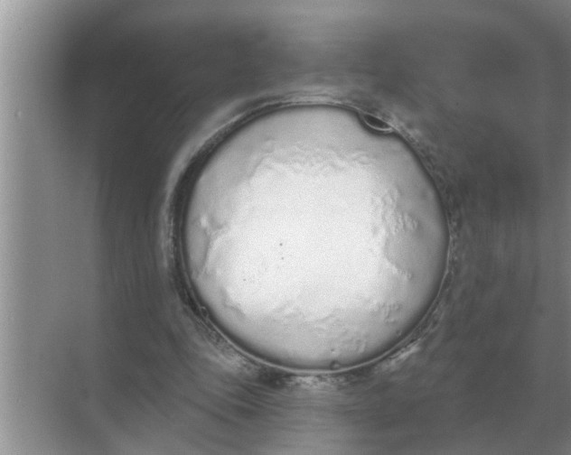 X0000070880343200606302143