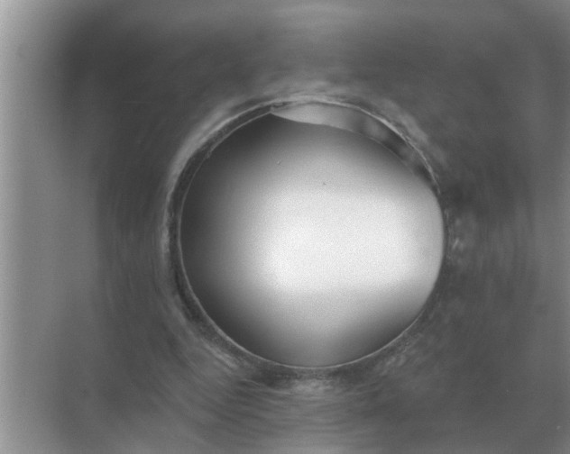 X0000070880344200606302143