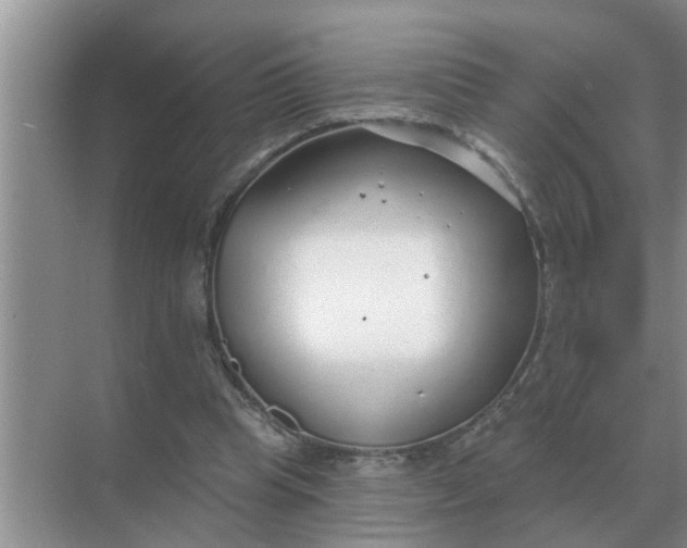 X0000070880345200606302143