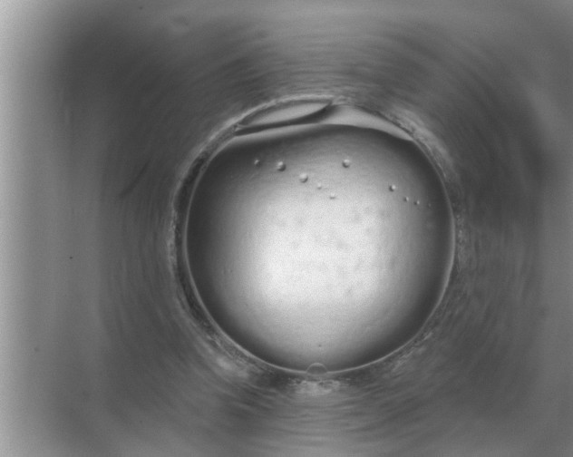 X0000070880346200606302143