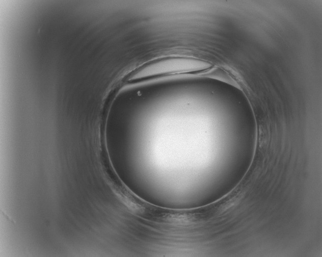 X0000070880349200606302143